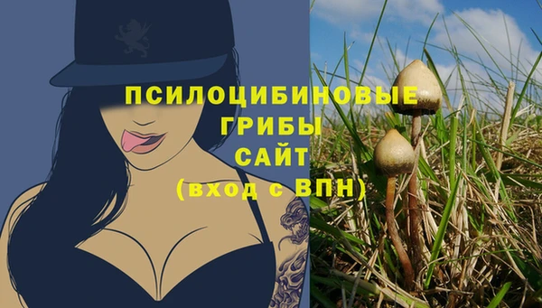 первитин Армянск