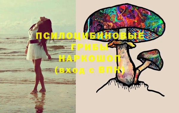 метамфетамин Аркадак