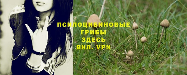 первитин Армянск