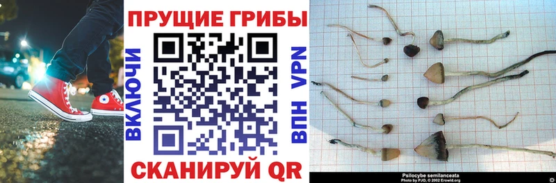 Псилоцибиновые грибы мухоморы  Ступино 